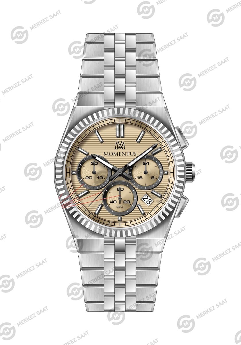 Momentus Men's Time Masters TM265S-07SS