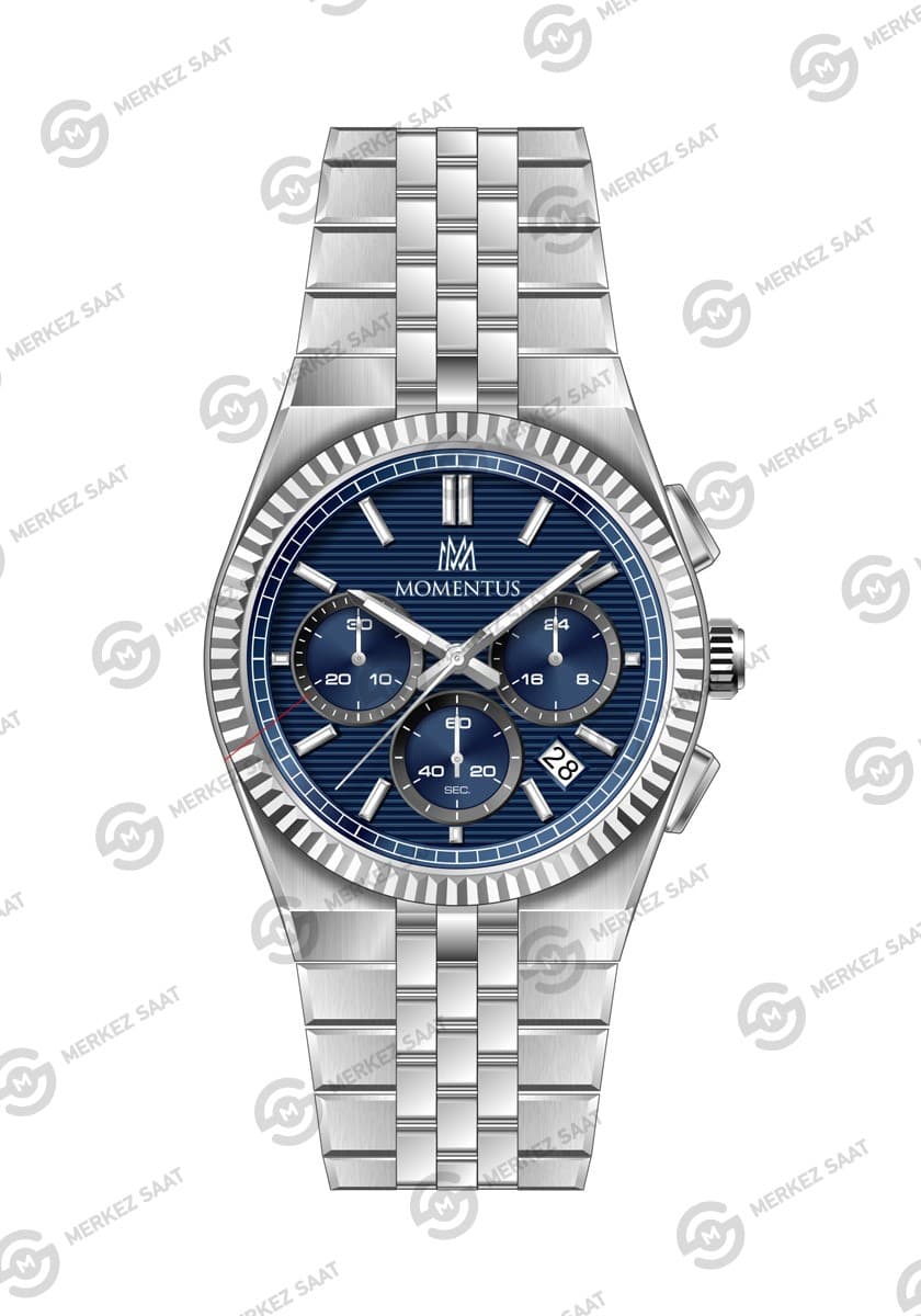 Momentus Men's Time Masters TM265S-11SS