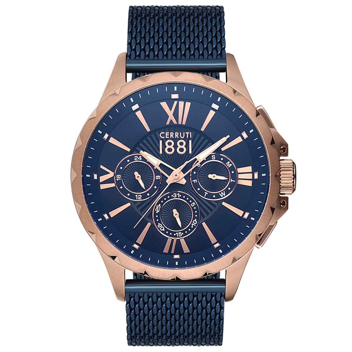 Cerruti CRA20302 Erkek Kol Saati 1
